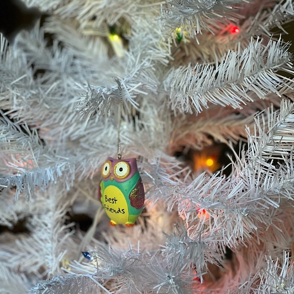 Owl 2 Pc.Christmas Ornament Set - Picture 5 of 9